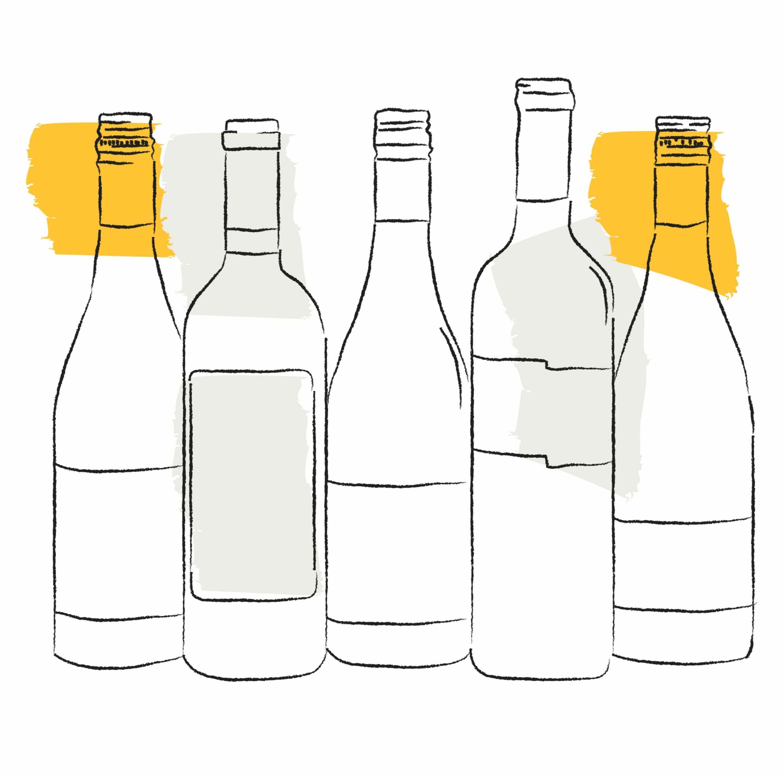 hand-drawn illustration of wine bottles with yellow and gray swatches